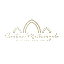 Logo Partner Mastrangelo-min