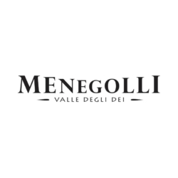 Logo Partner Menegolli-min